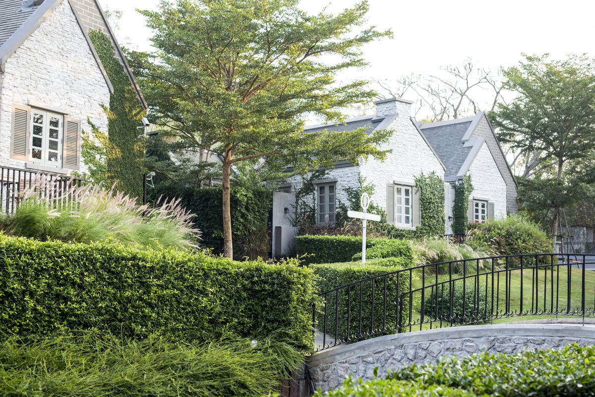 Quiet residential street with homes and gardens in a suburban neighborhood