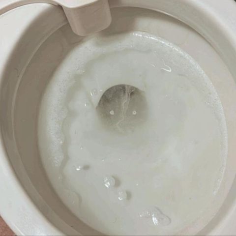 Heavy stains removed from a toilet bowl (after)